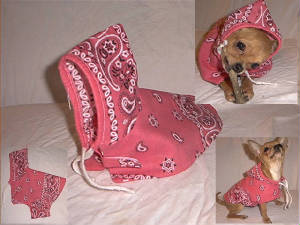 hotpink.jpg
