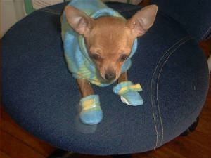 img00033d.jpg