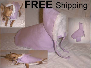 lilac1.jpg
