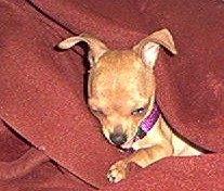 img00002c.jpg