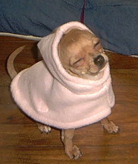 img00031d.jpg